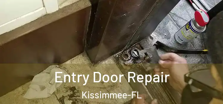  Entry Door Repair Kissimmee-FL