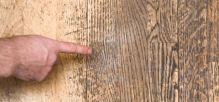 Wood Door Scratch Repair in Kissimmee